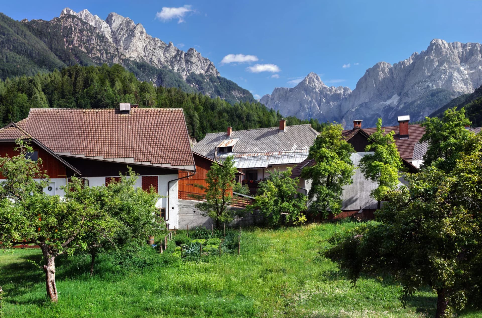 Alpine village houses below jagged, forested mountains under a blue sky in Kranjska Gora.