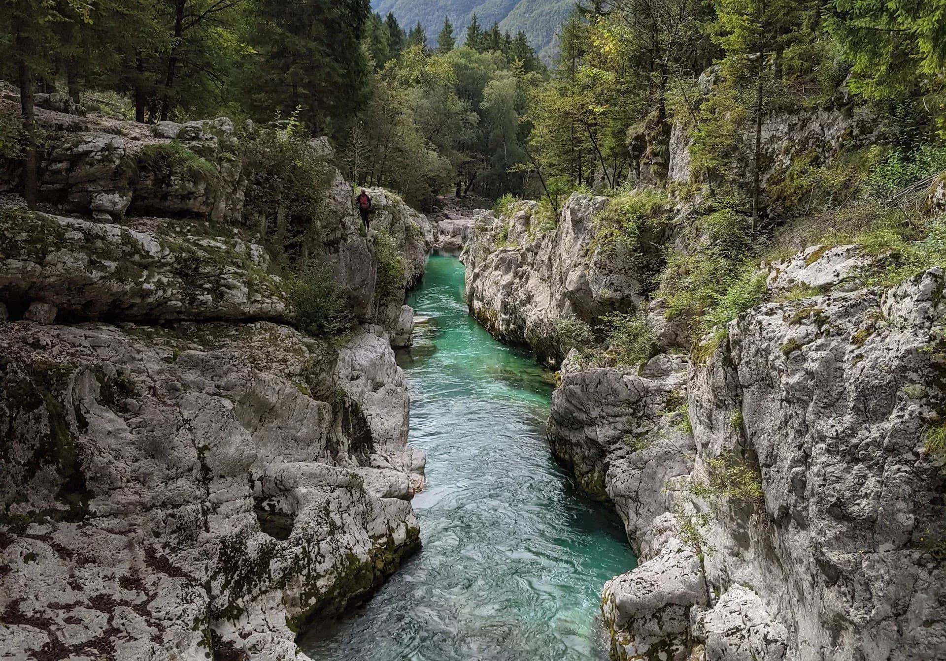 Turquoise river flowing through a narrow gorge with mossy rock walls and dense forest.