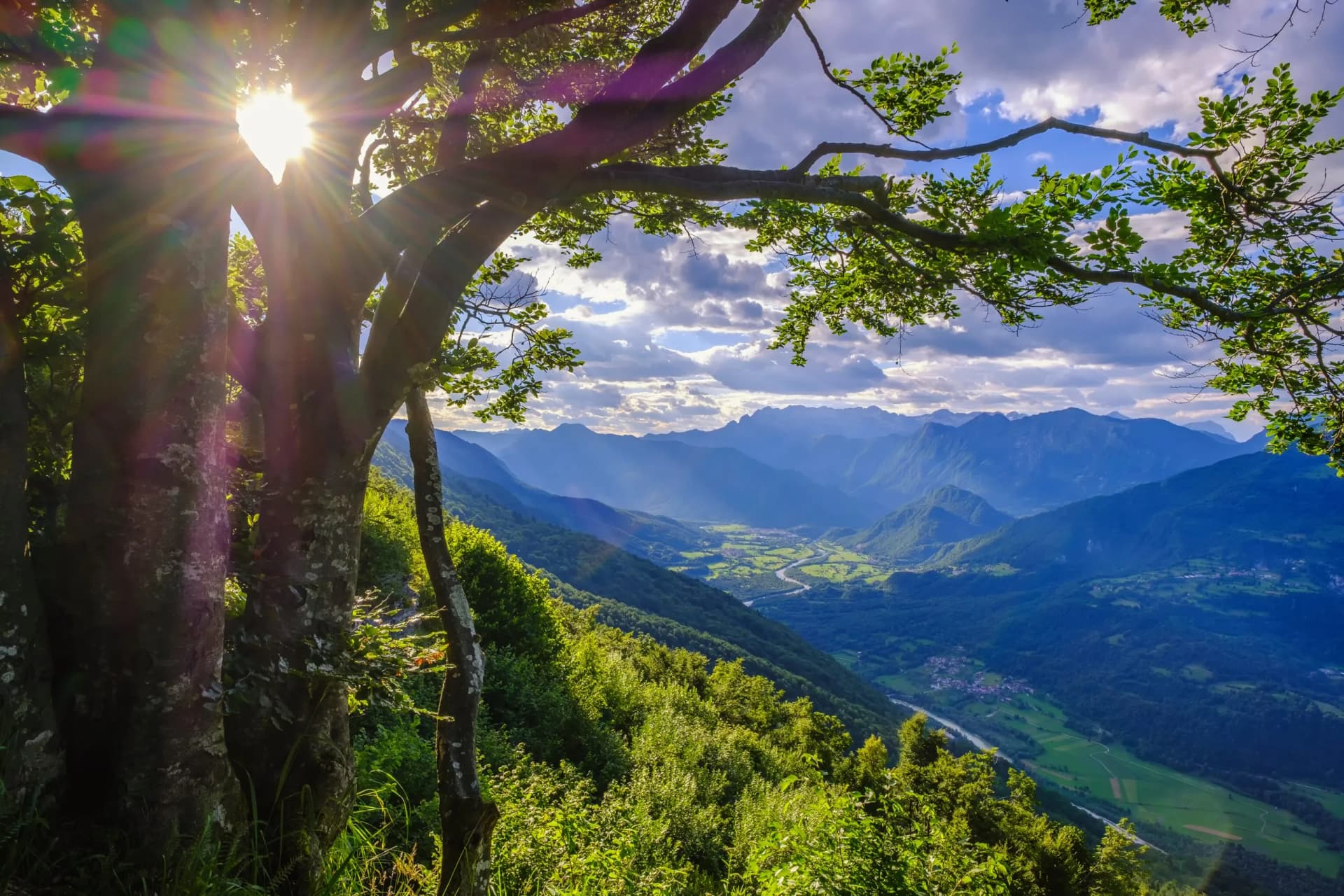 View of Soca Valley from Kolovrat with sun flare through foreground tree branches.