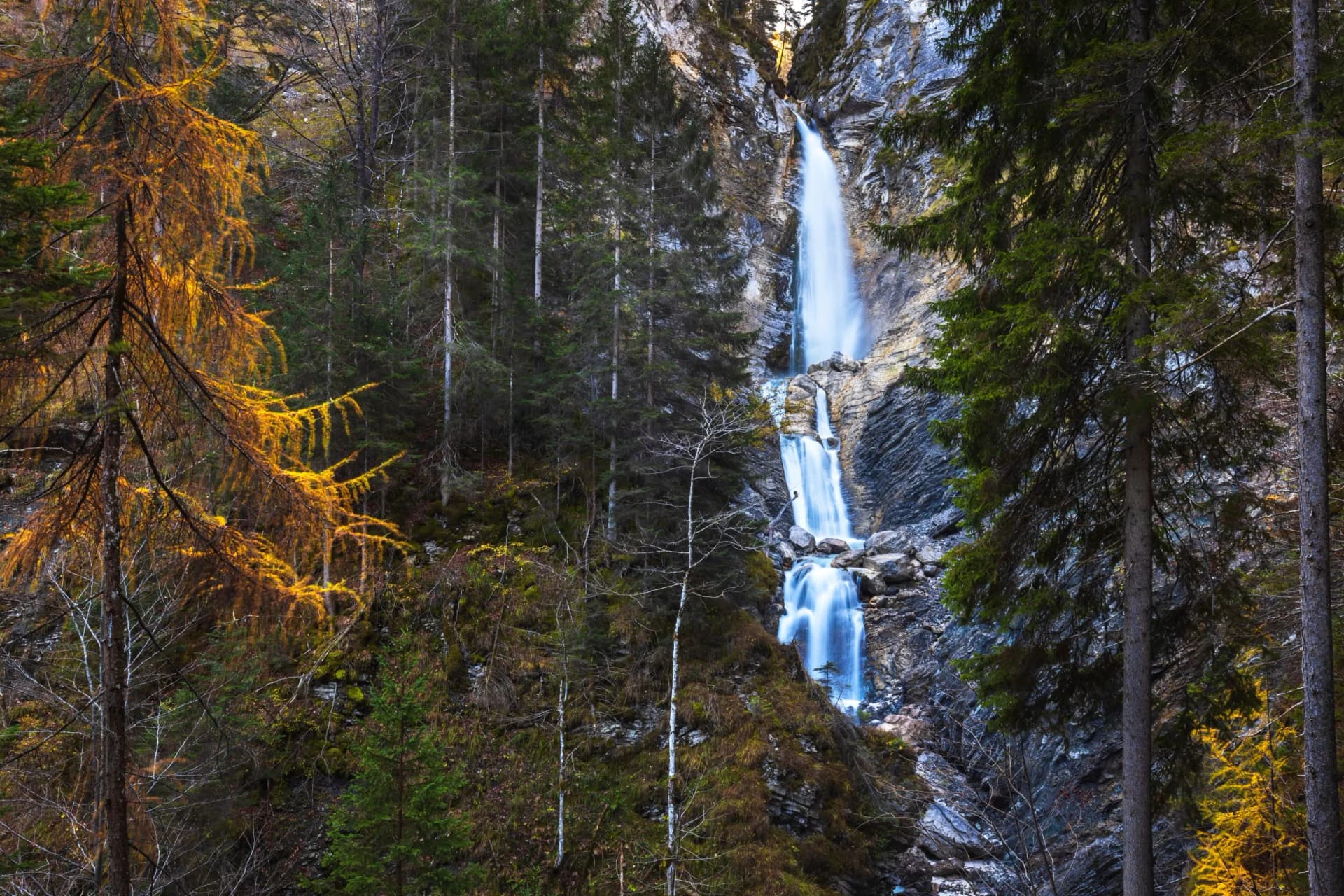Tall waterfall cascading down rocky gorge surrounded by pine forest with autumn yellow foliage in Gozd Martuljek.