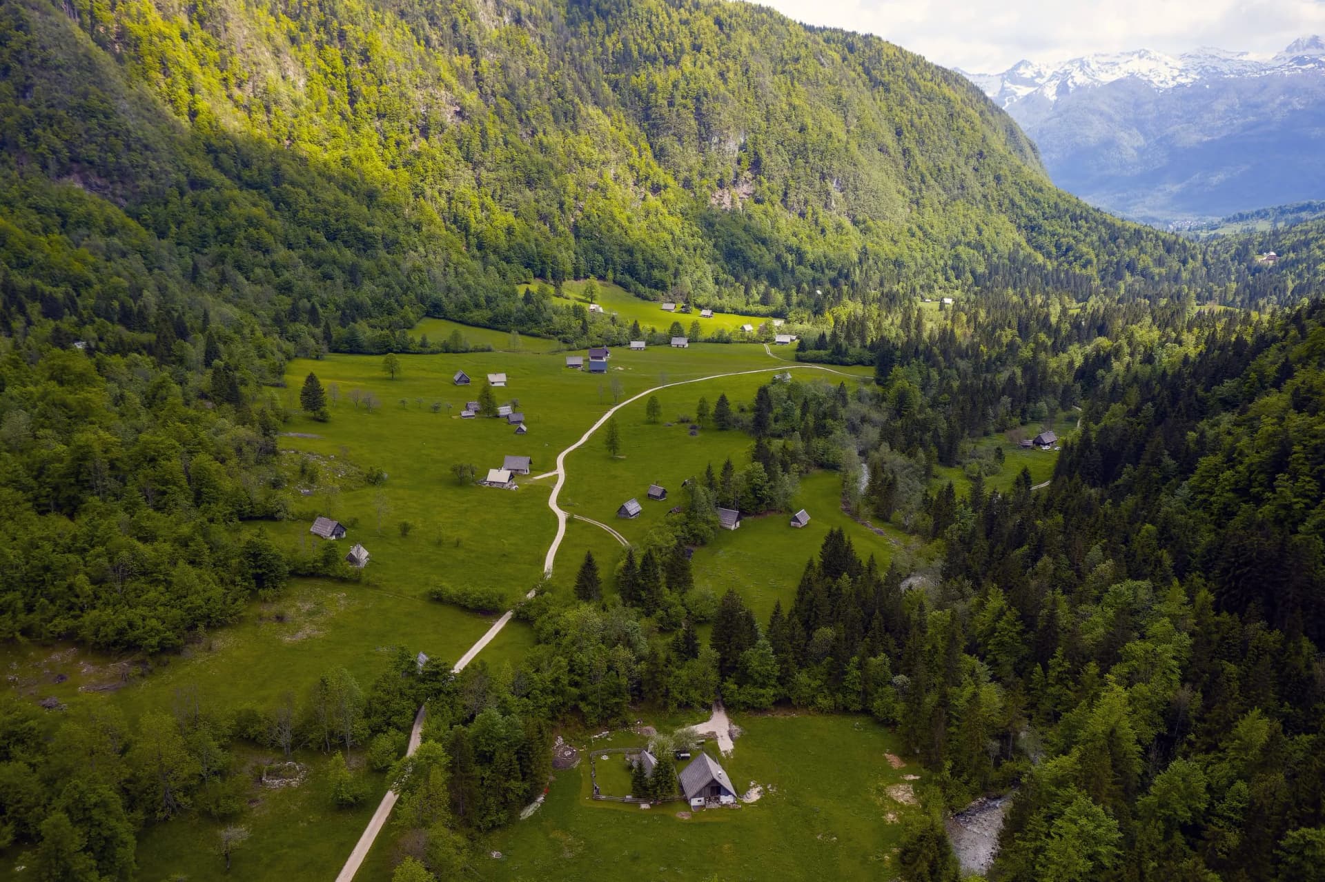 Alpine valley in Voje near Lake Bohinj, Slovenia, with green meadows, scattered huts, and snow-capped mountains.