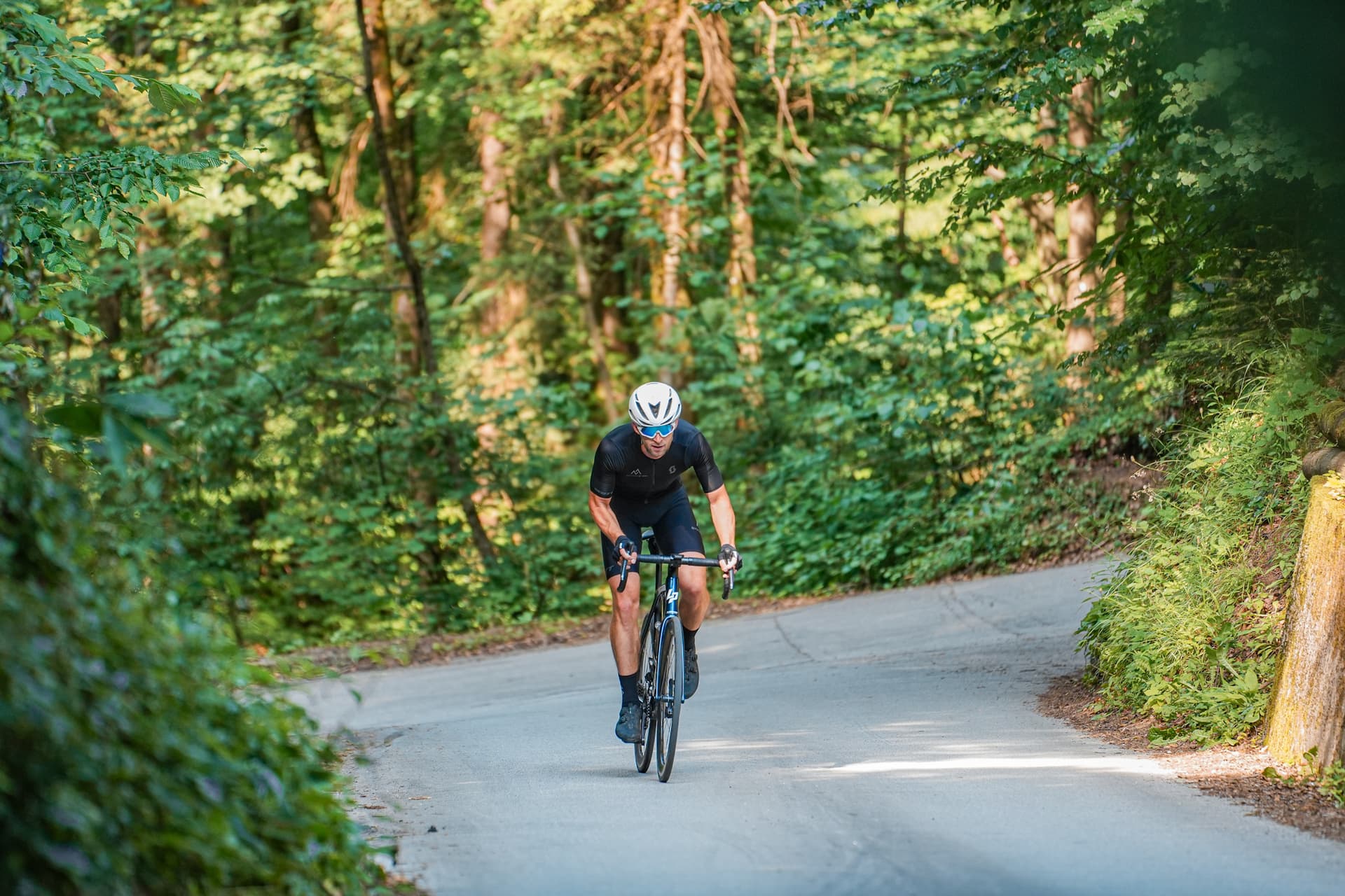 Cyclist ascending paved road through dense green forest in Slovenia