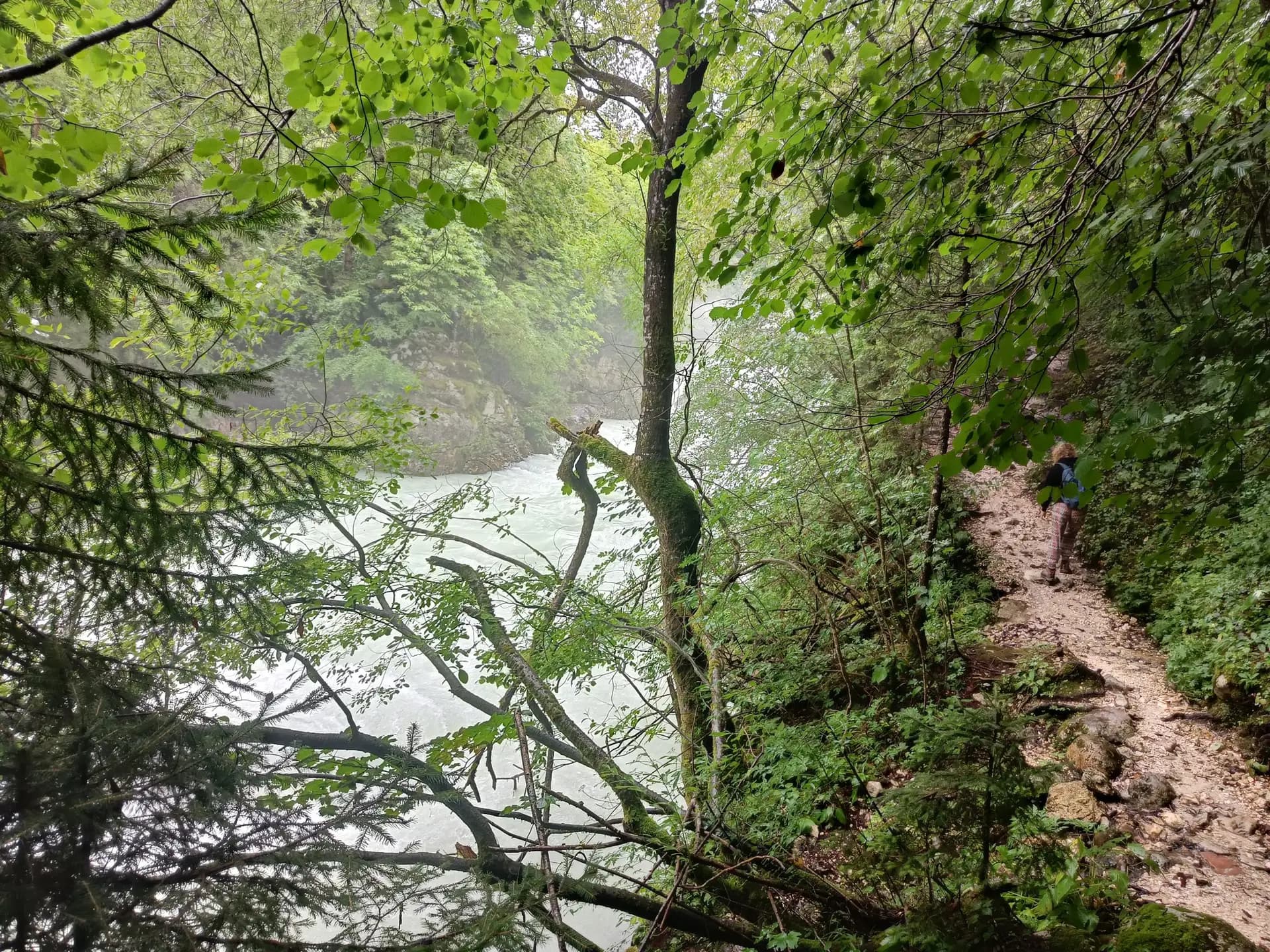 Hiker on a forest trail alongside a rushing river on the Alpe Adria Trail.
