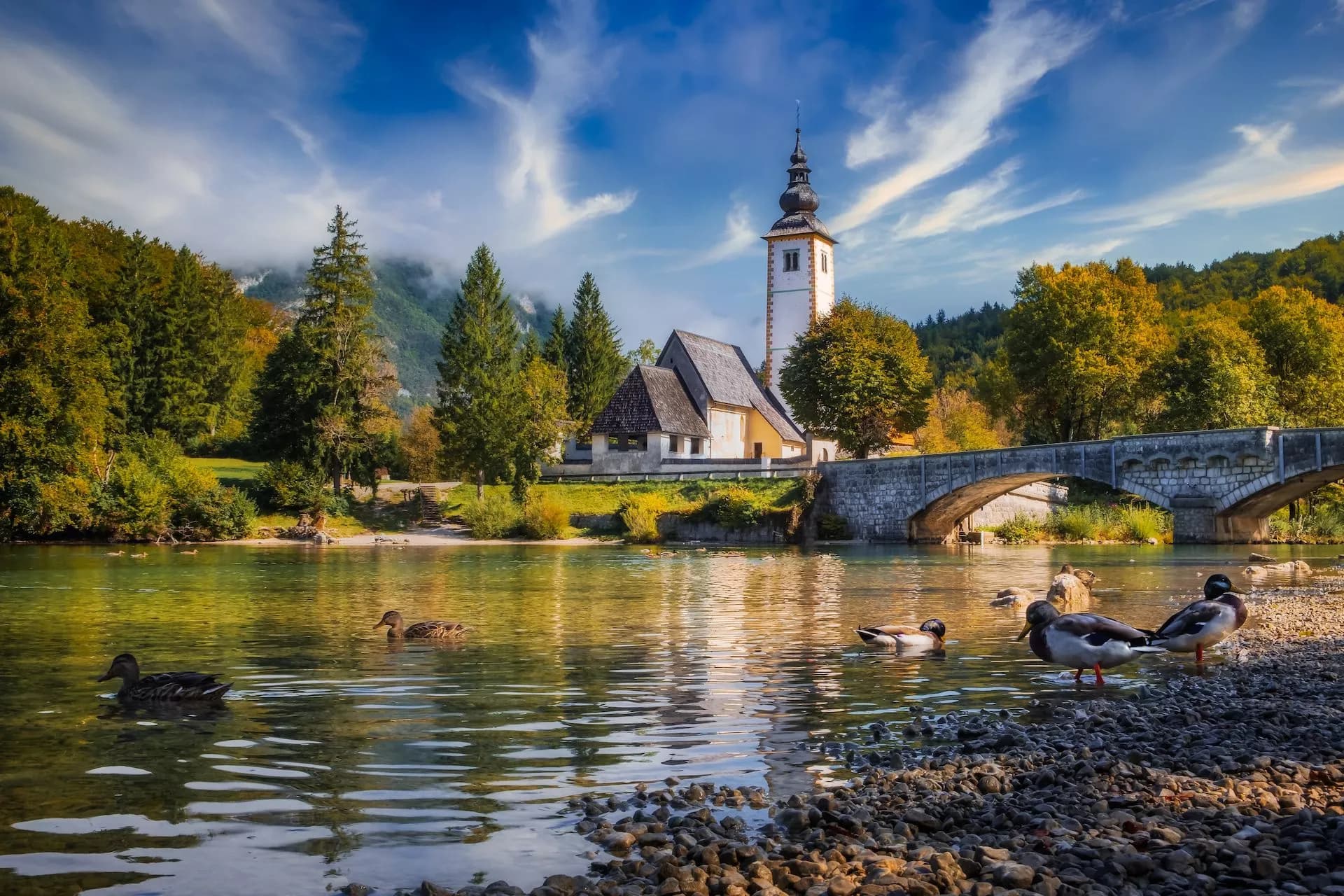 Ducks on rocky shore of lake with church and stone bridge, Bohinj, Slovenia.