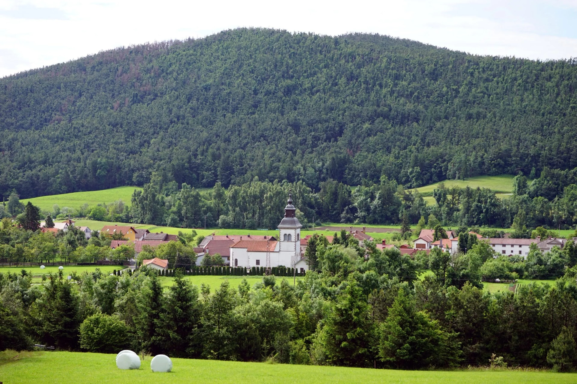 Village with church tower nestled at the base of a densely forested hill in Razdrto.