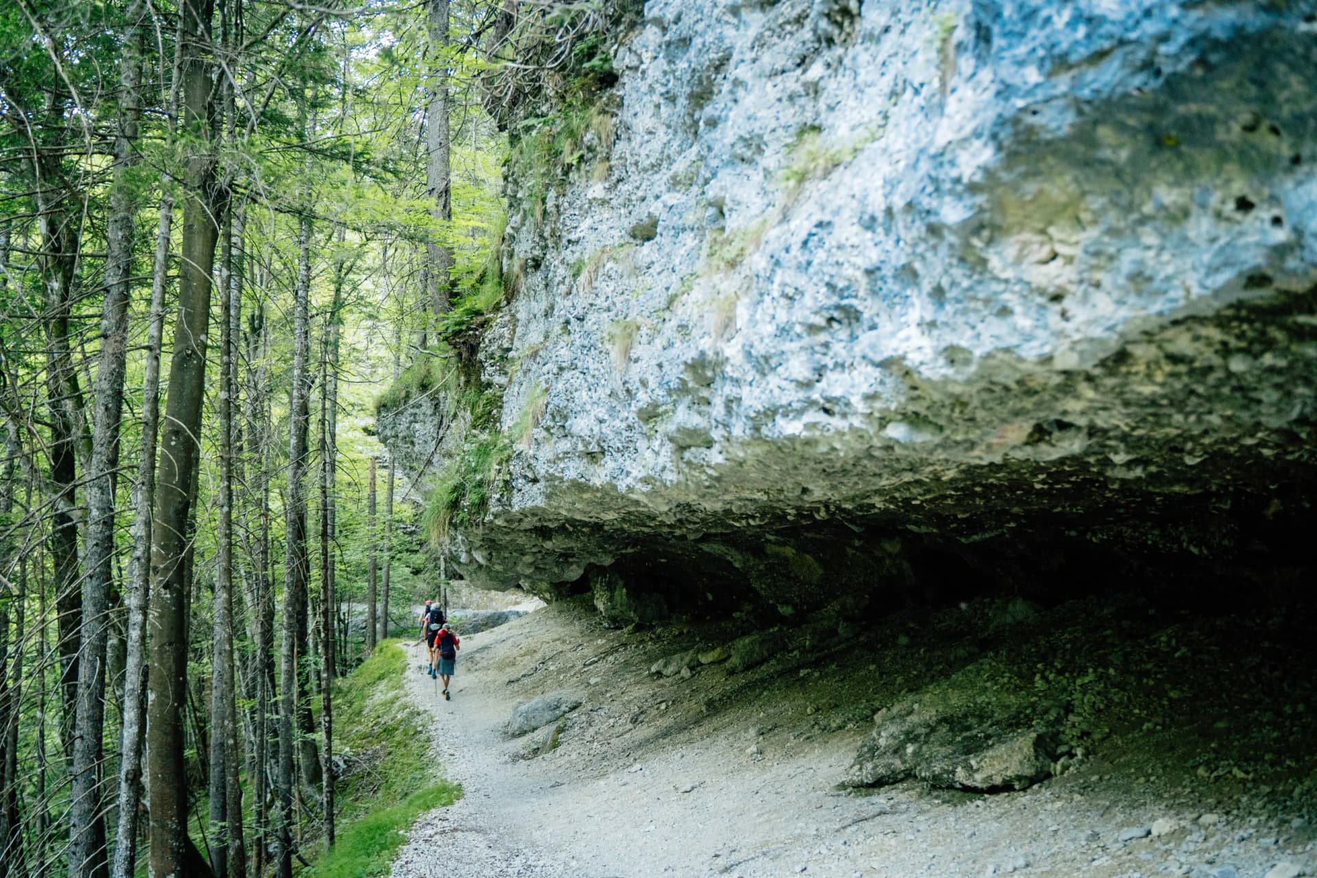 Hikers walking a gravel path under a large rock overhang in a dense green forest.