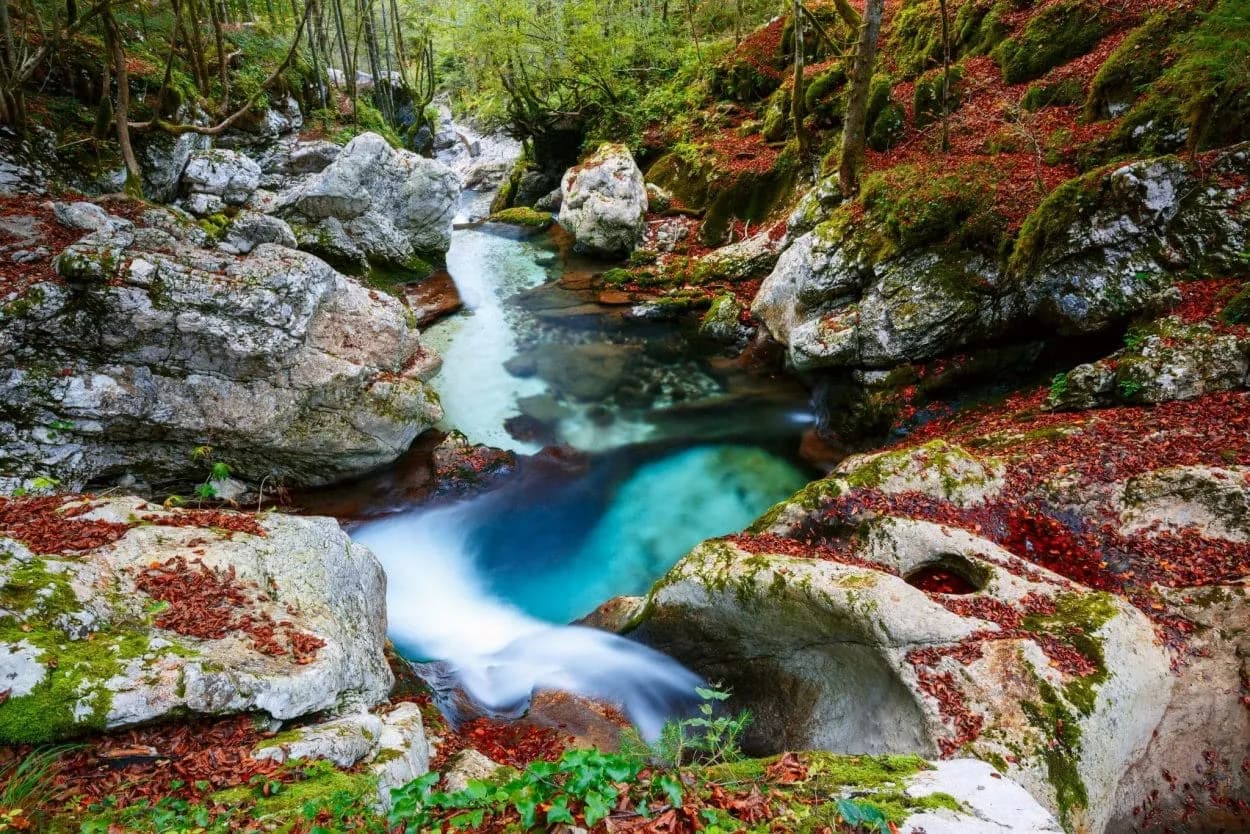 Turquoise stream flowing over mossy rocks with red autumn leaves in a dense forest.