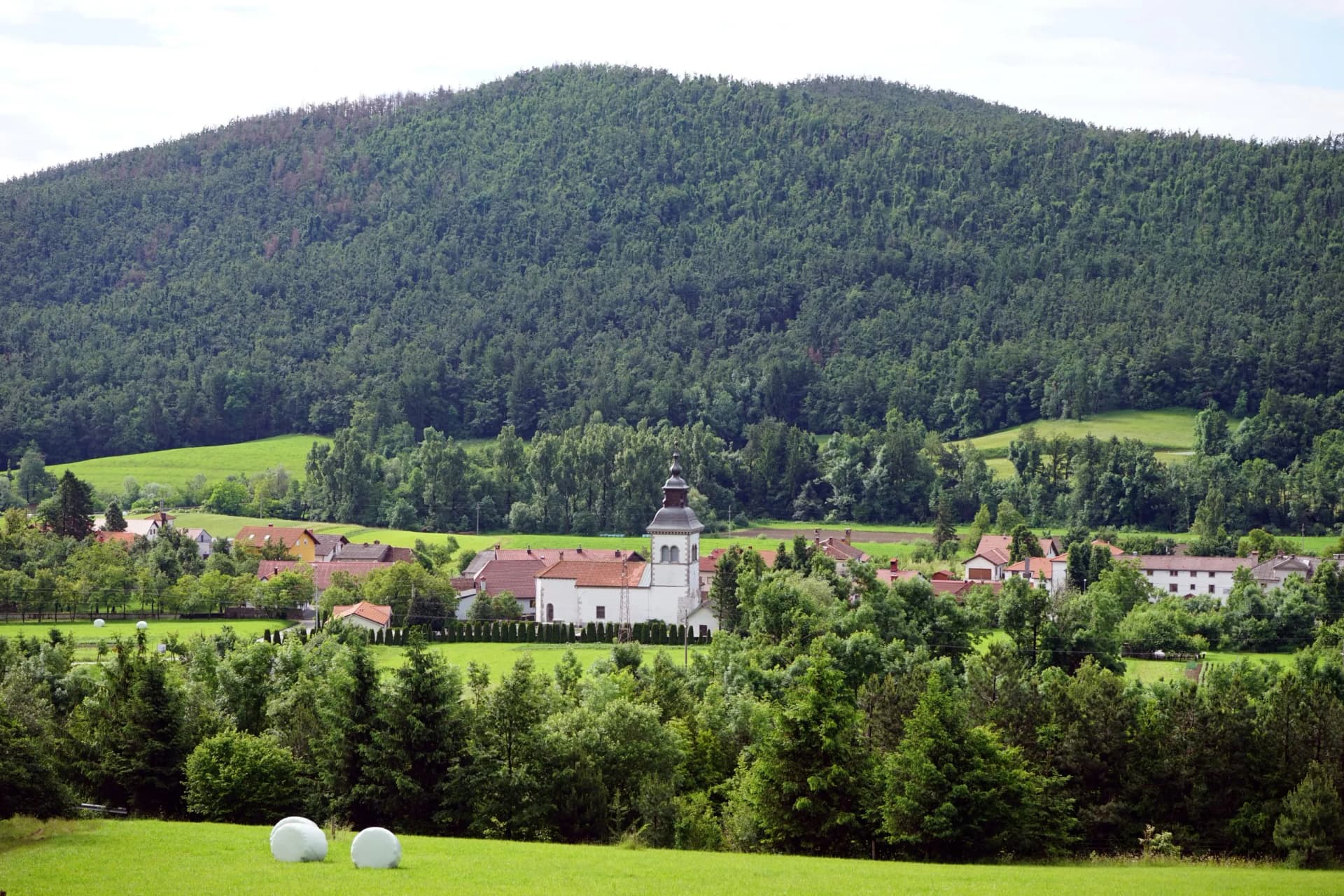 Village with church tower nestled at the base of a densely forested hill in Razdrto.