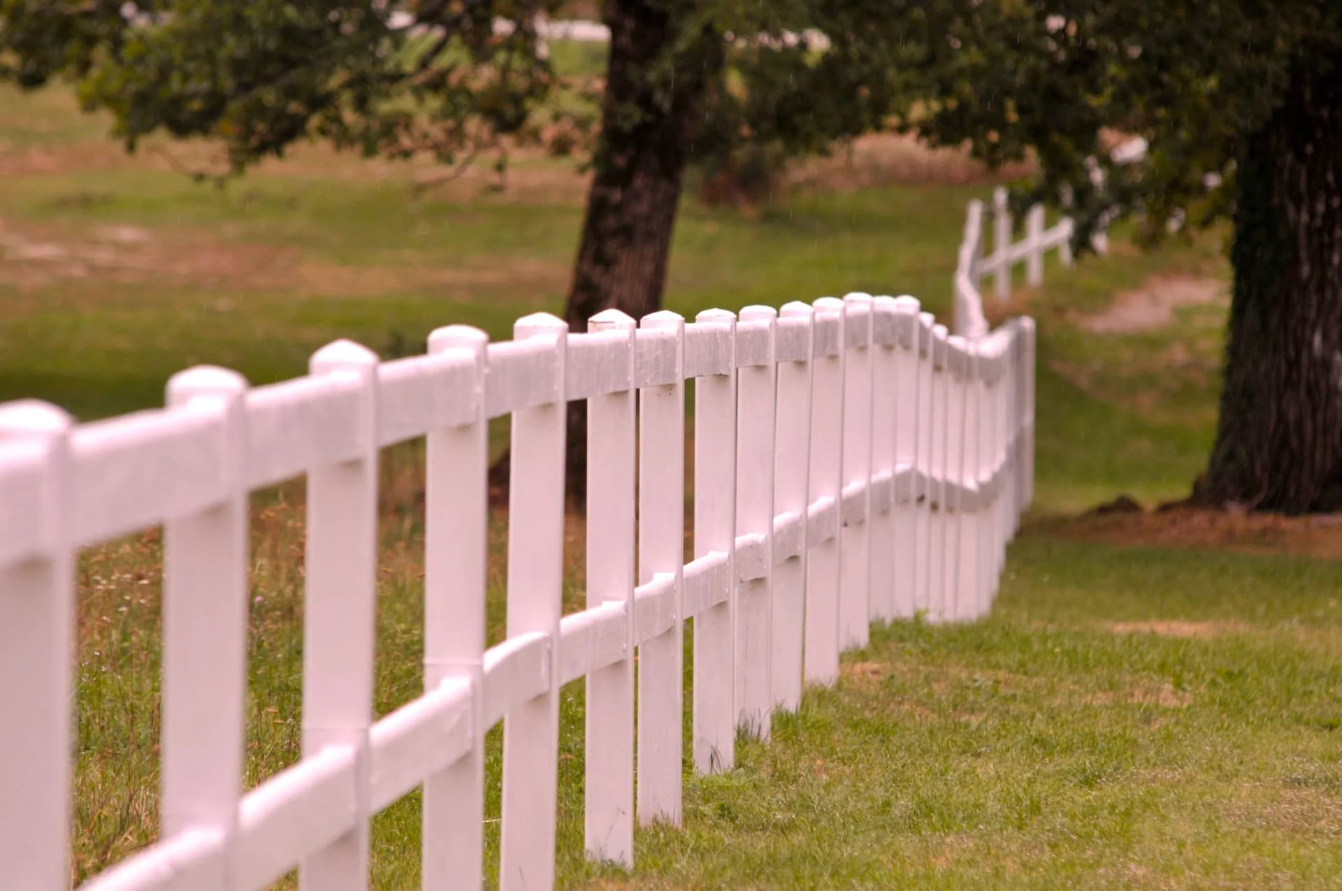 White picket fence curving along a grassy field with trees in the background, possibly Lipica.
