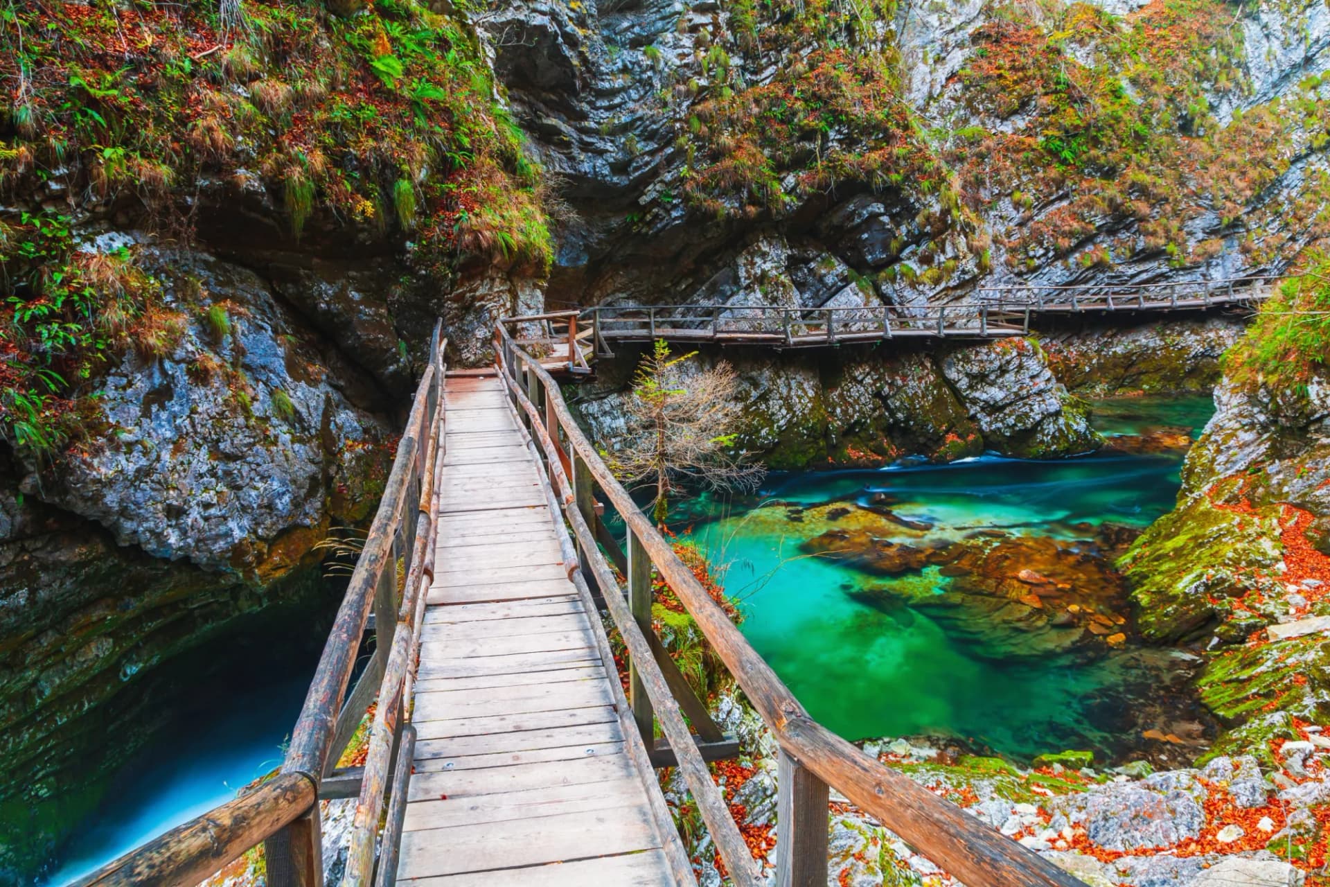 Wooden path over turquoise water in Vintgar Gorge canyon with autumn colors near Bled.