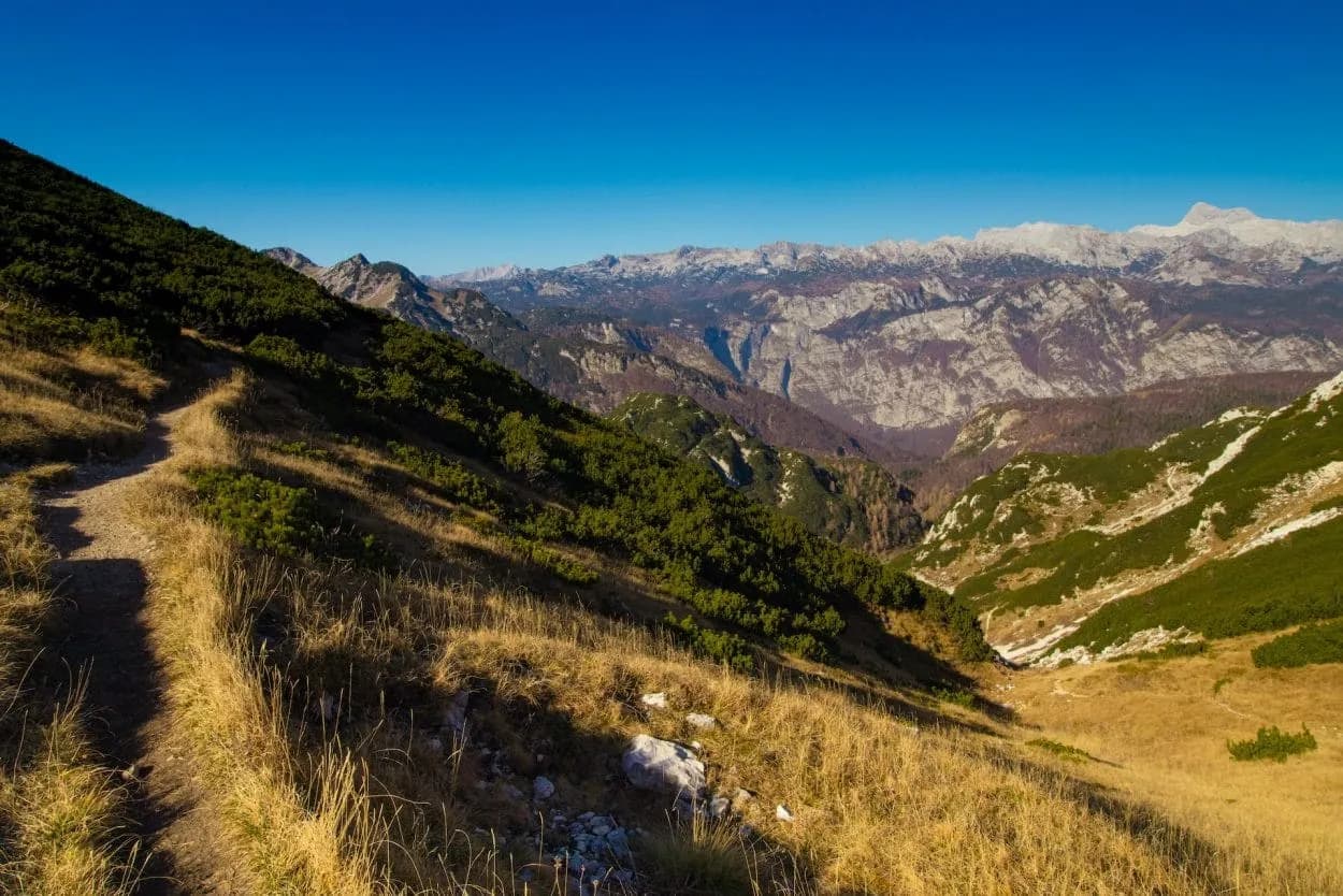 Hiking trail on grassy slope overlooking rugged mountains on Mt. Vogel under clear blue sky.