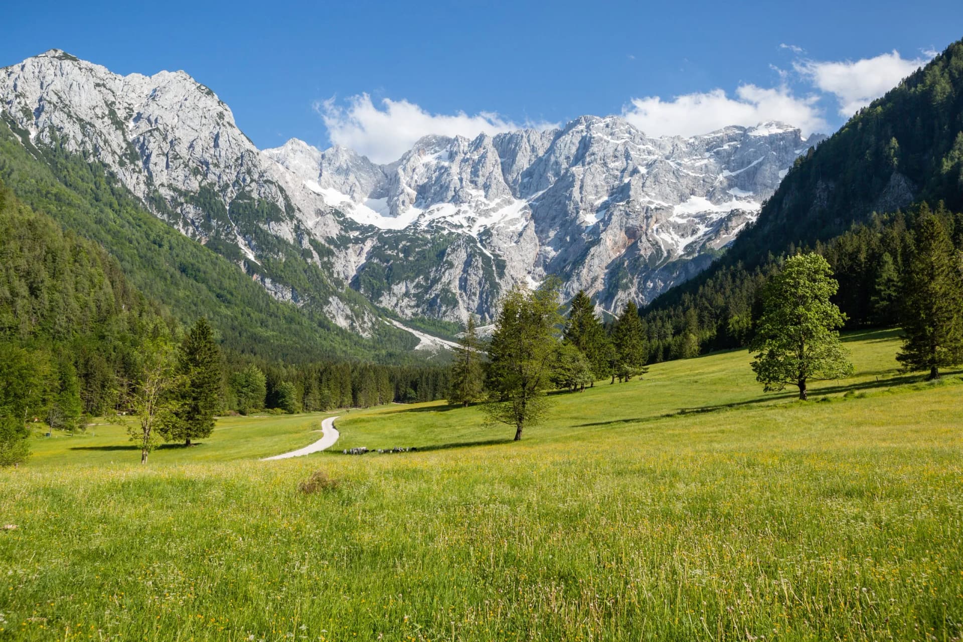Mountain valley pasture with sheep, dirt road, and snow-capped Kamnik-Savinja Alps under blue sky.