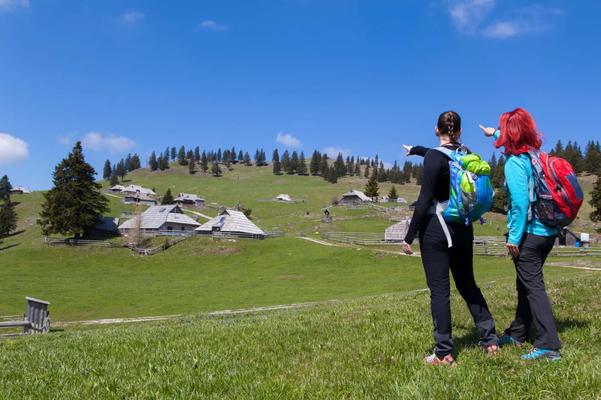 Hikers pointing on a green mountain pasture with traditional wooden huts in the Slovenian Alps.