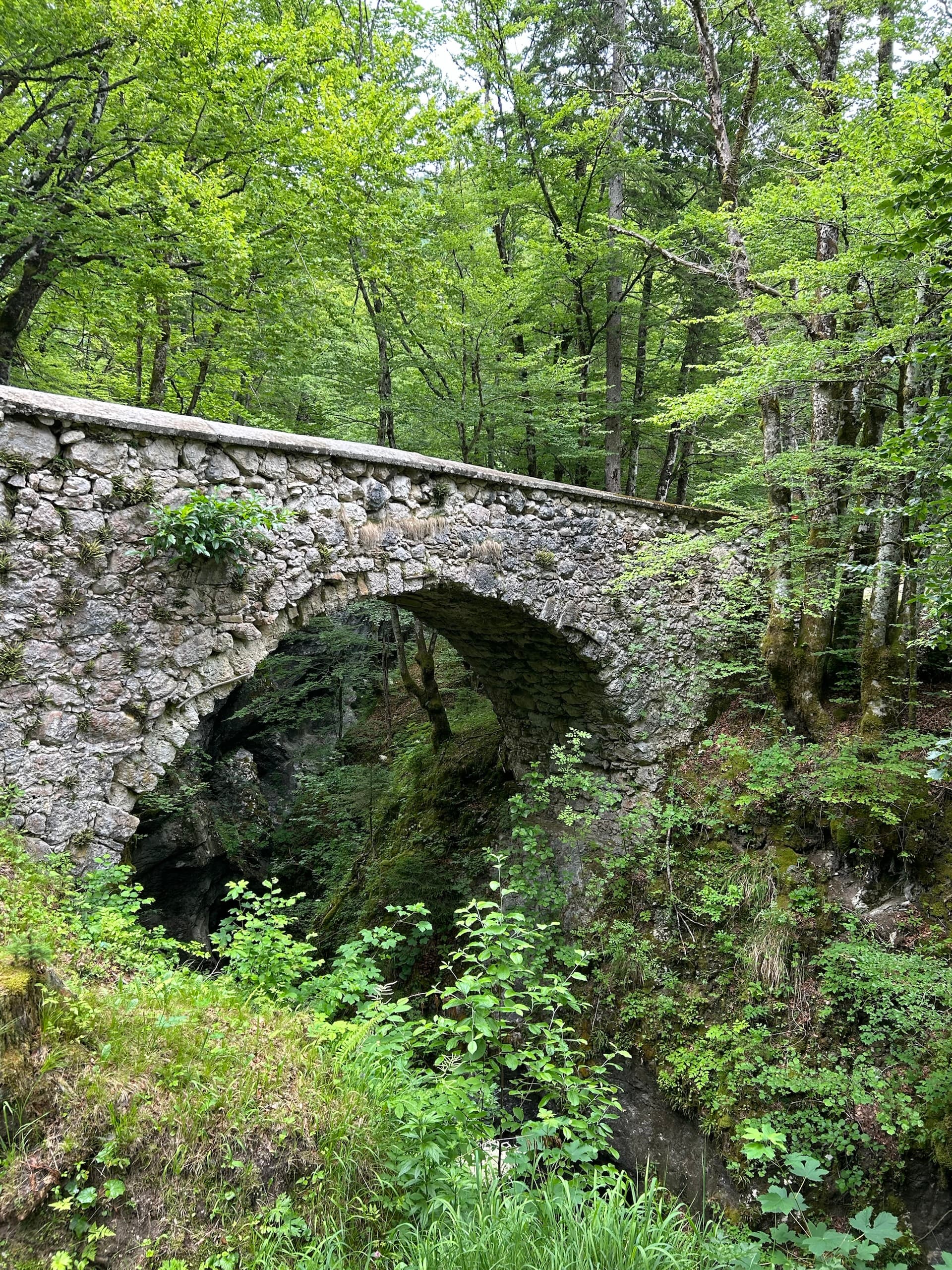 Stone bridge over a forested gorge with lush green trees
