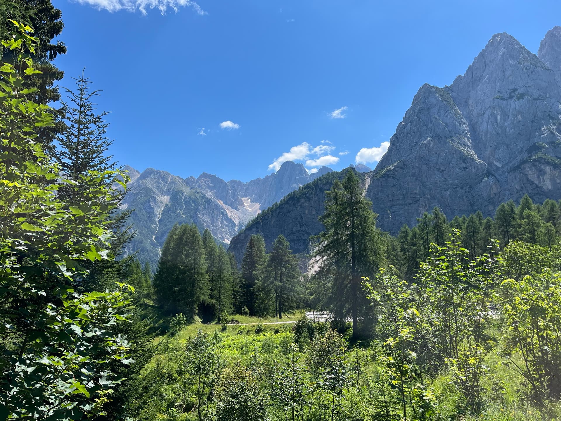 Forest and green vegetation below towering limestone mountain walls under a blue sky