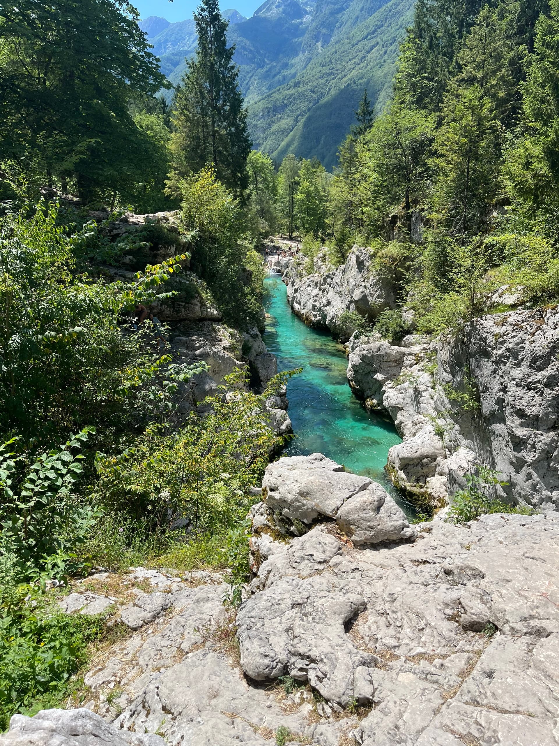 Turquoise river flowing through rocky gorge with green forest and mountains