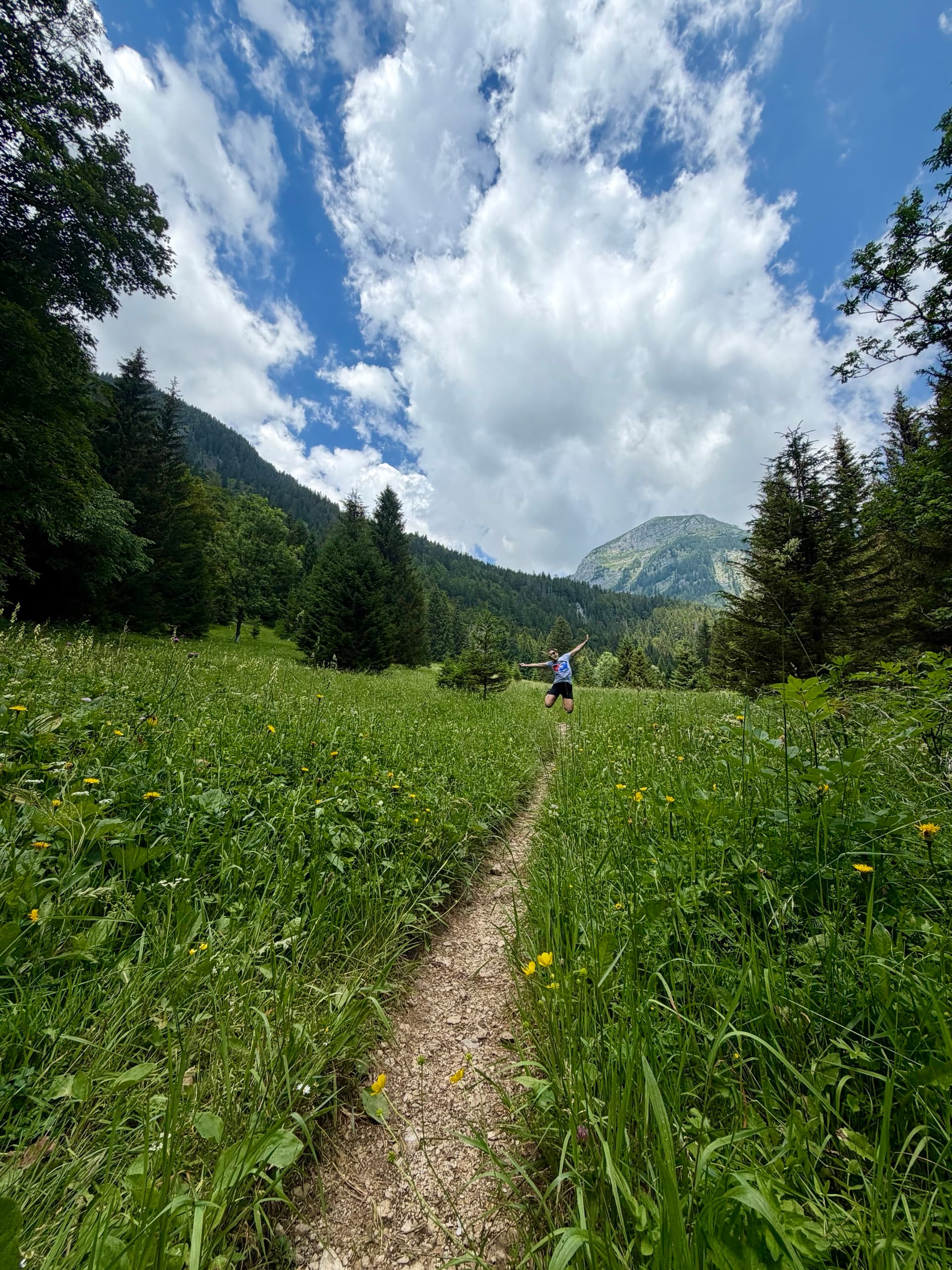 Person jumping on dirt path through flowery meadow with mountains and pine trees