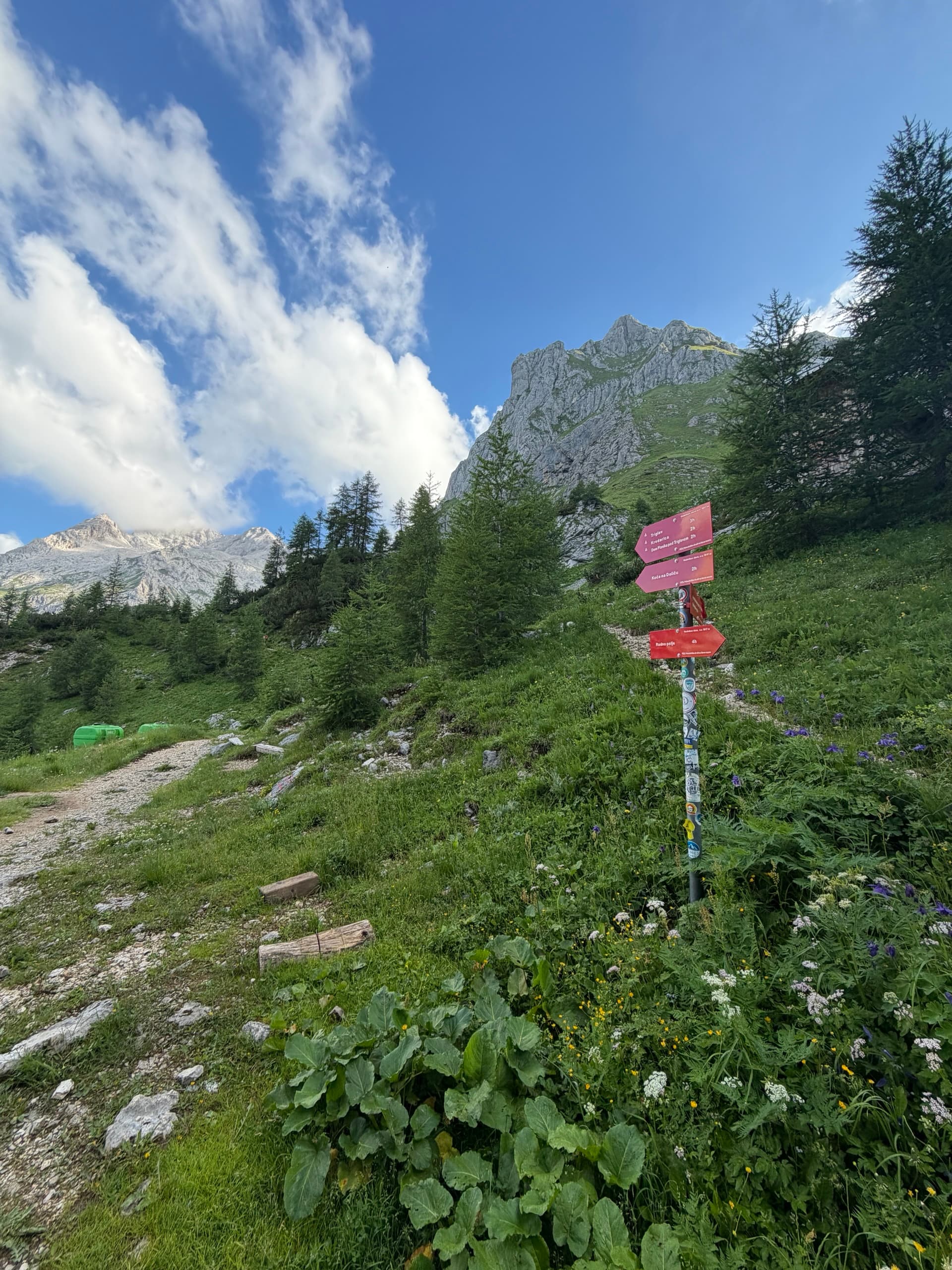 Red hiking signposts on a mountain trail below limestone peaks with green slopes and pine trees