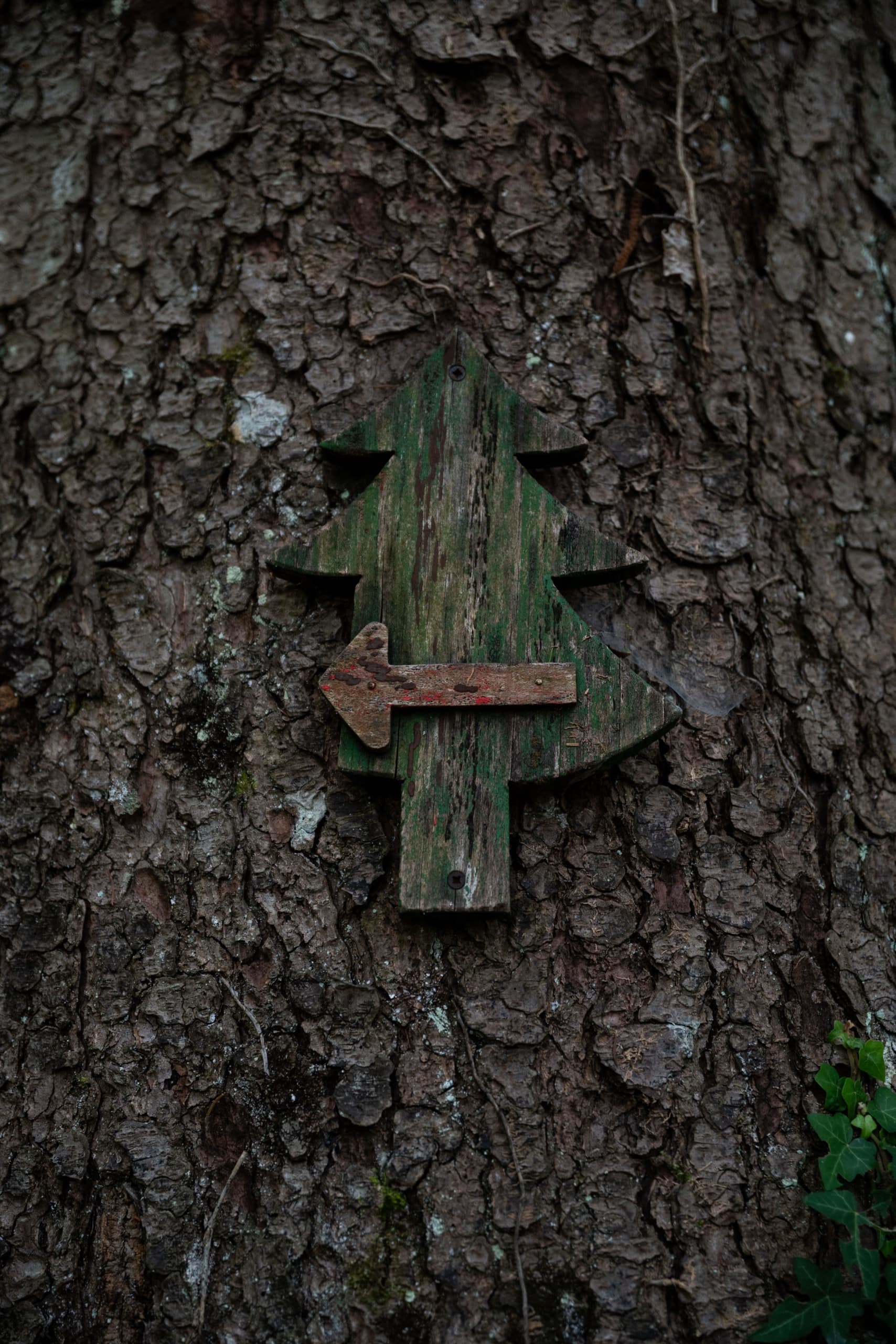 Tree-shaped wooden trail sign with a directional arrow mounted on tree bark