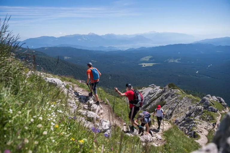 Wandeling naar Triglav uitzichtpunt Viševnik