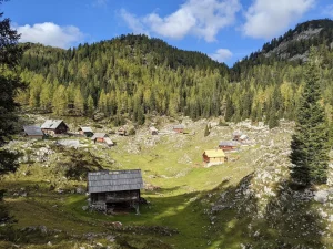 Planina Dedno Polje